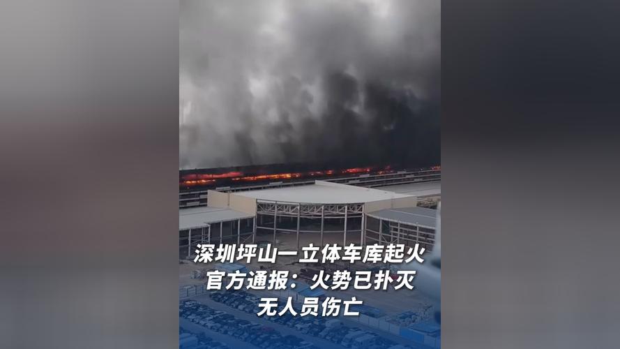 包含深圳坪山一立体车库发生火情的词条