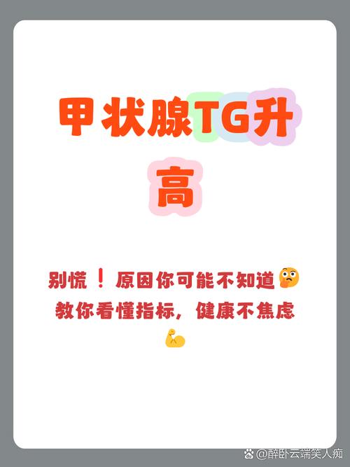 包含tg是什么甲状腺的什么的词条