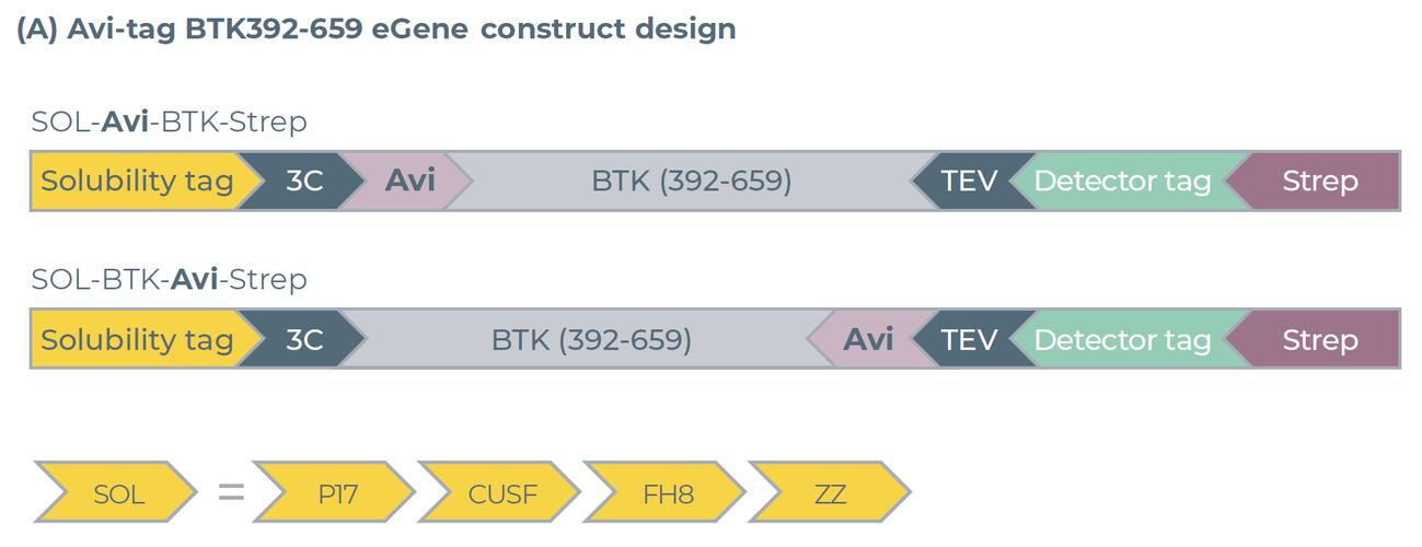 btok官网入口,btk平台最新消息