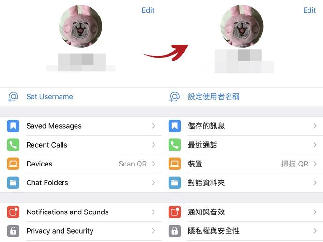telegraph官网版,telegreat官网下载