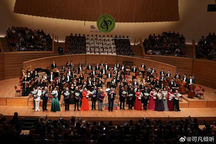 theconcert官网入口,themed entertainment association