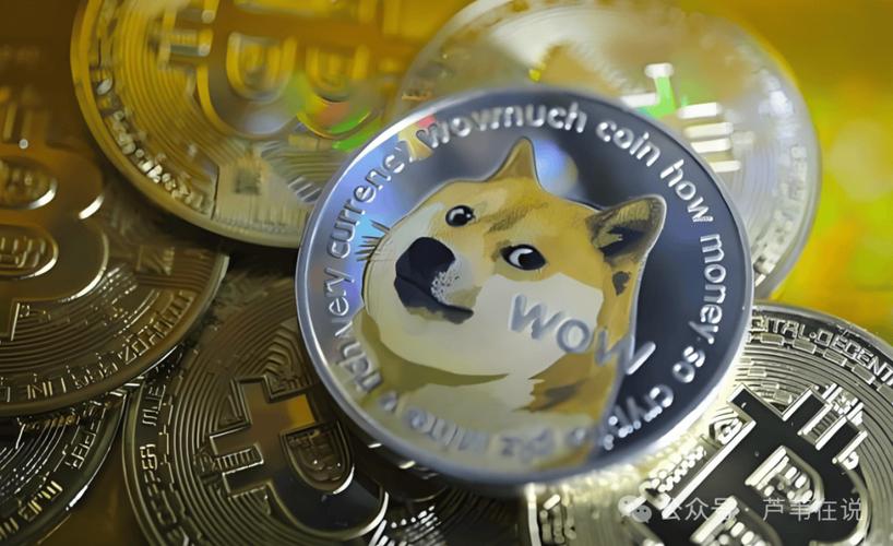 狗狗币暴跌最新消息,狗狗币今日多少钱一枚