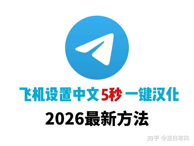 纸飞机如何改成中文,纸飞机怎样设置成中文的