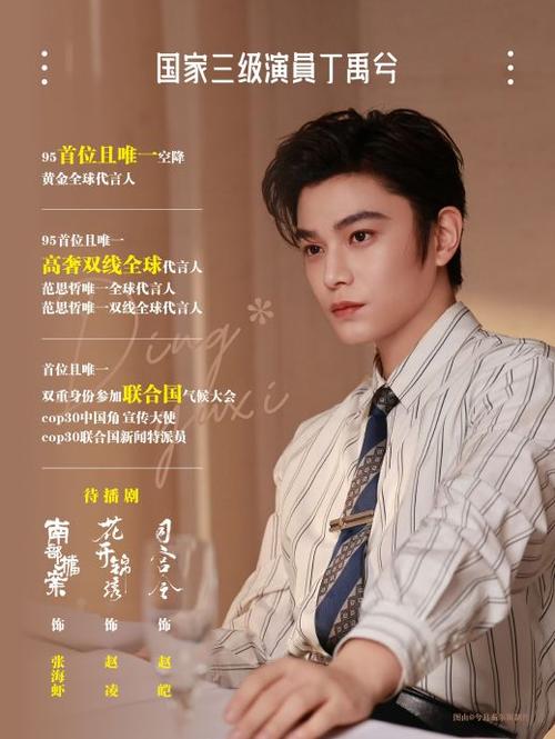 丁禹兮两剧入围金鹰奖,丁禹兮两剧入围金鹰奖是罕见的青年
