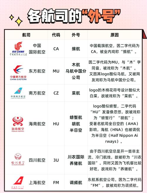 飞机飞行群是什么意思,飞机飞行群是什么意思啊