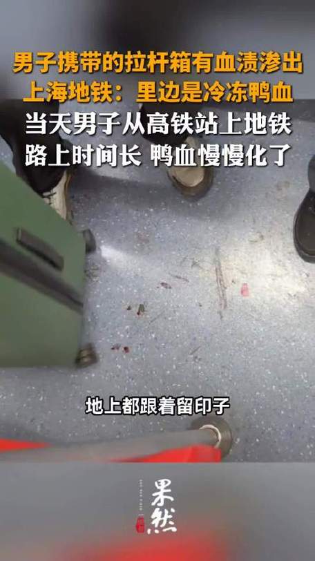 男子携带拉杆箱有“血”渗出的简单介绍