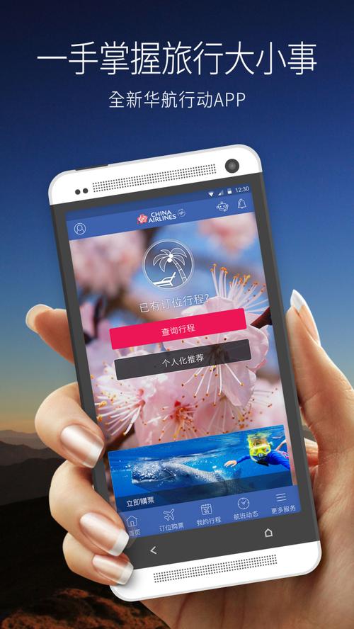 飞机中文版官网,飞机中文版ios