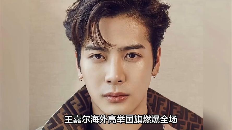 关于王嘉尔阿根廷演唱会举国旗的信息