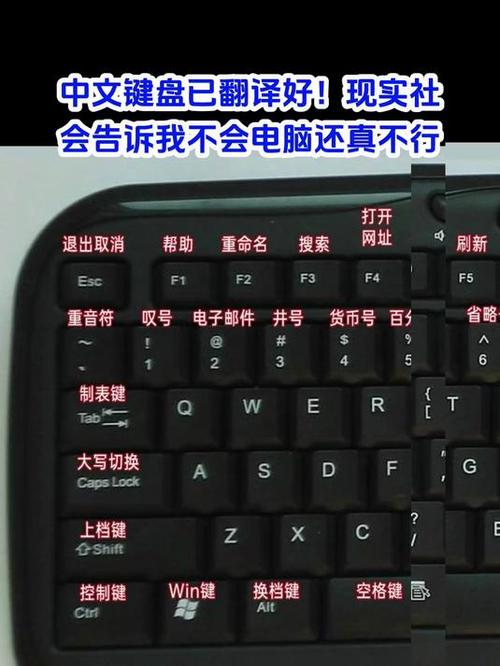 trg翻译中文,tqlet翻译中文