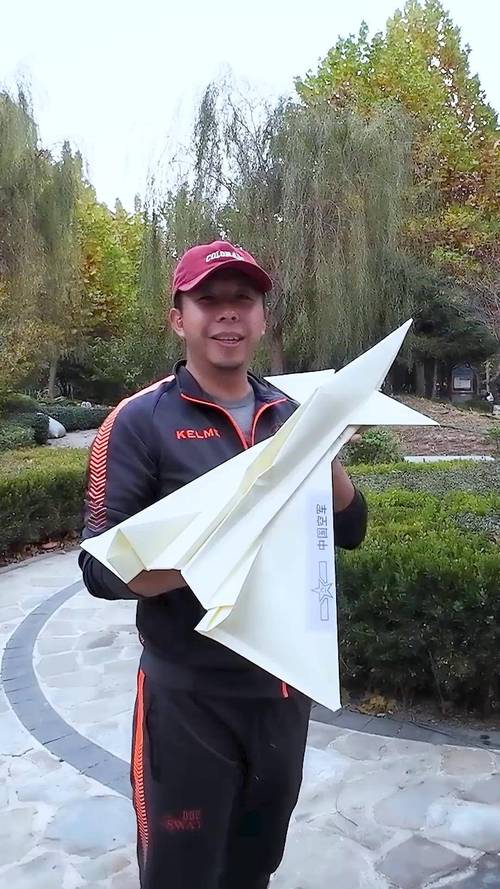 歼11仿真纸飞机折法解图视频的简单介绍