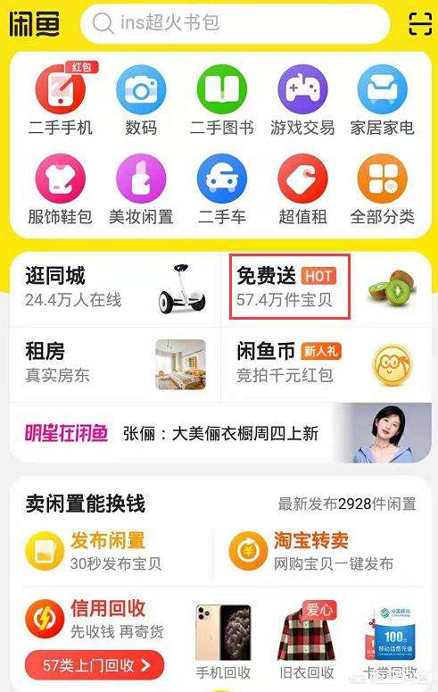 [闲鱼ip地址是什么]闲鱼ip地址是什么意思