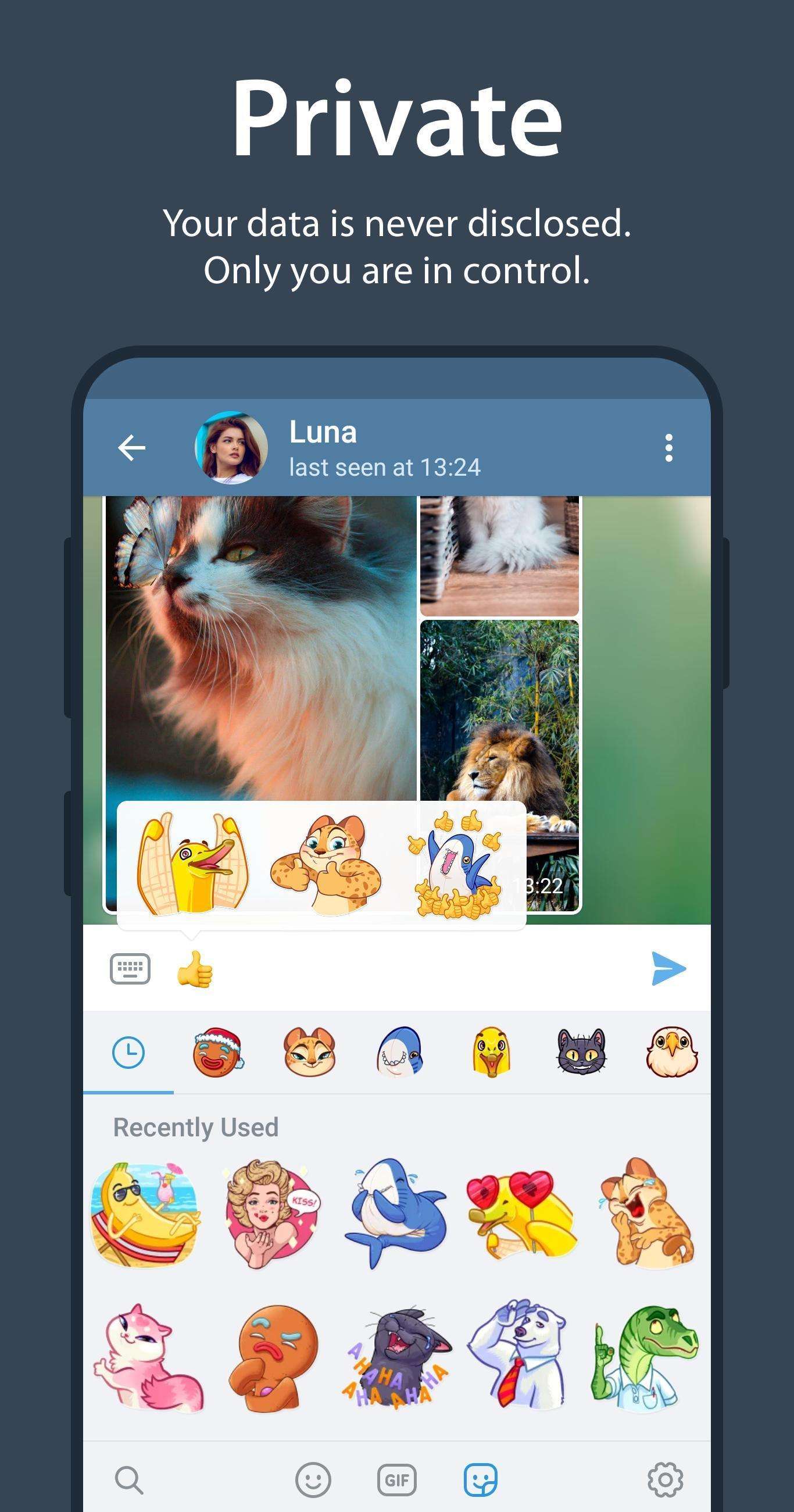 [telegram默认存储路径]telegram默认存储路径 ipad