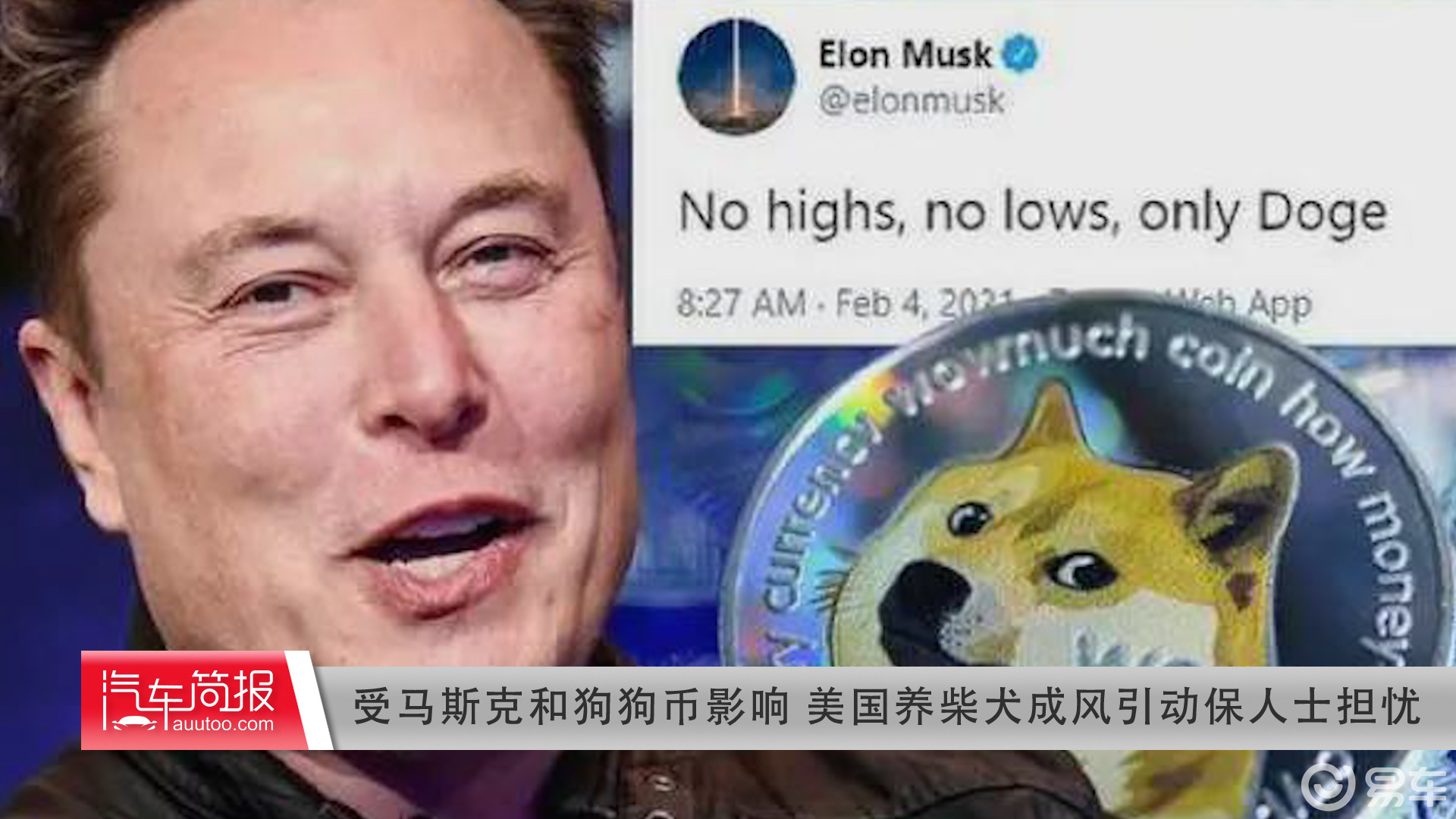 [马斯克狗狗币赚了多少]马斯克狗狗币赚了多少钱