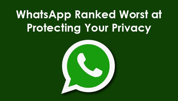 WhatsApp代理-whatsapp营销软件