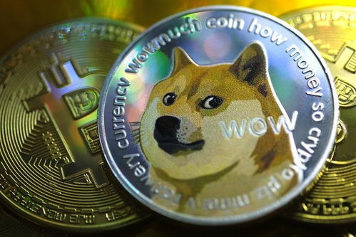 狗狗币官网,狗狗币简介,狗狗币dogecoin