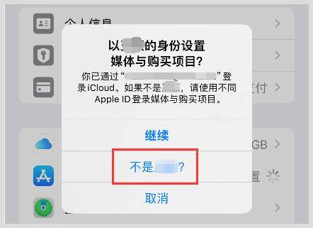 skype苹果版怎么登陆,skype苹果版怎么登陆不上