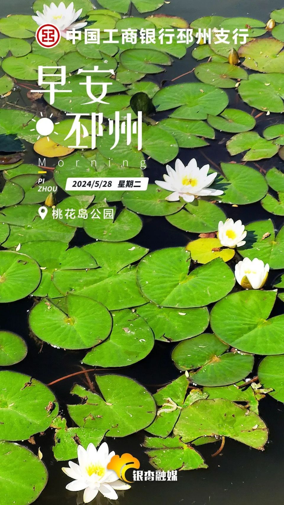 首尔天气预报,首尔天气预报15天查询结果