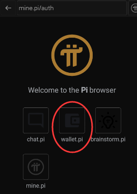 pi钱包app下载,pi钱包app下载17