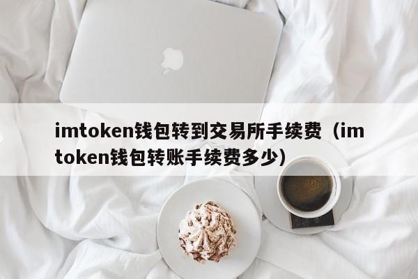 token钱包怎么转到交易所,token钱包怎么转到交易所里面