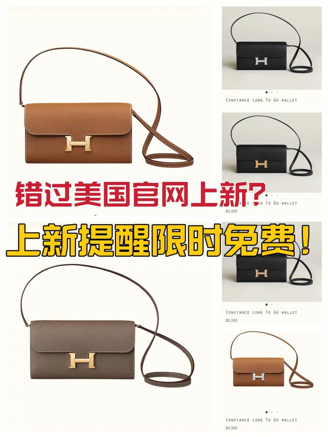 tg官网入口,TG官网入口登录链接