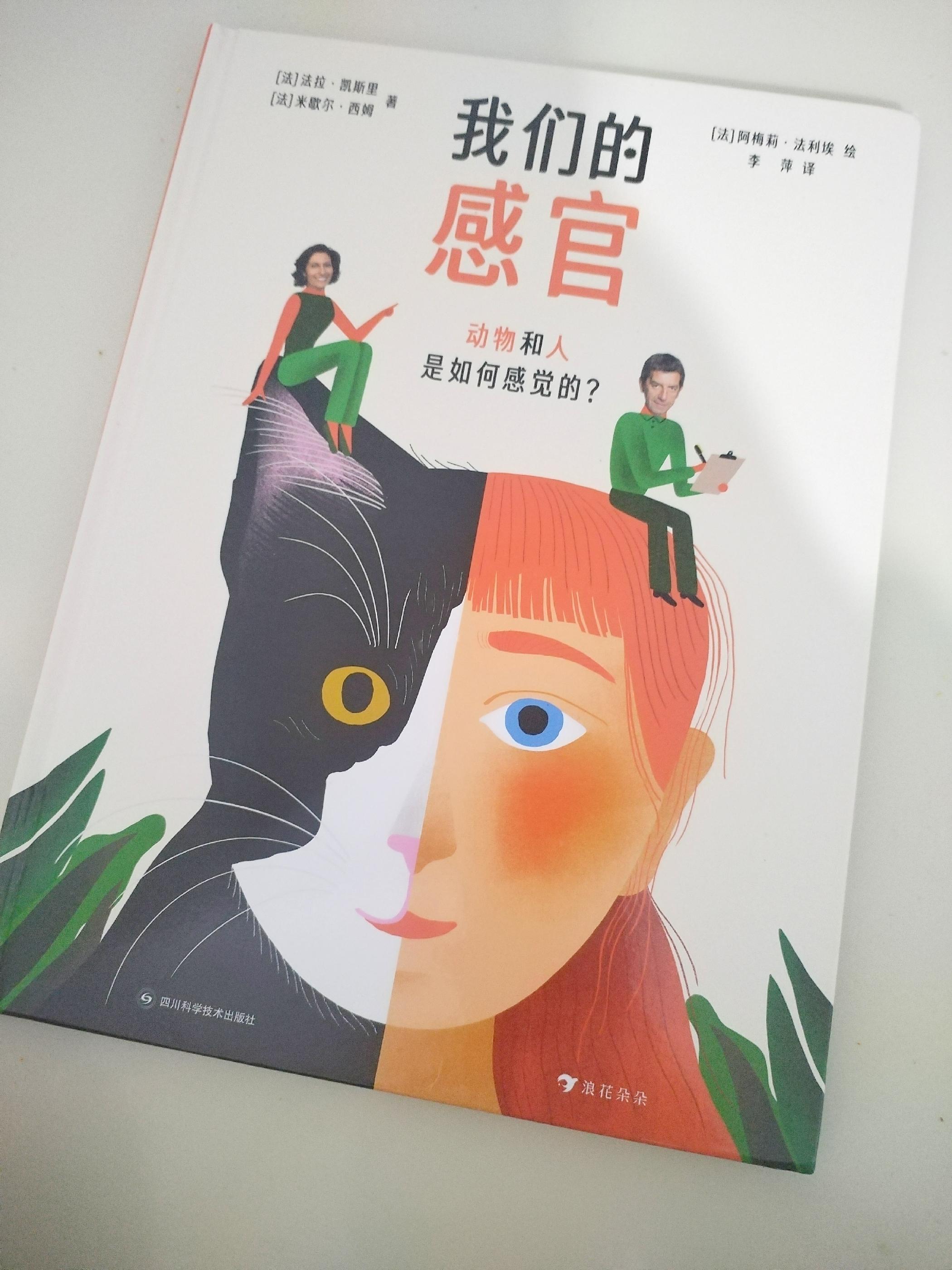 小狐狸注册,小狐狸怎么注册