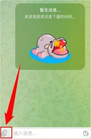 包含纸飞机app怎么设置中文的词条