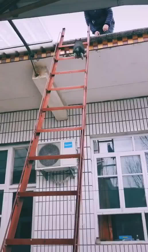苹果手机用梯子了还是看不了视频,苹果手机用梯子了还是看不了视频怎么办