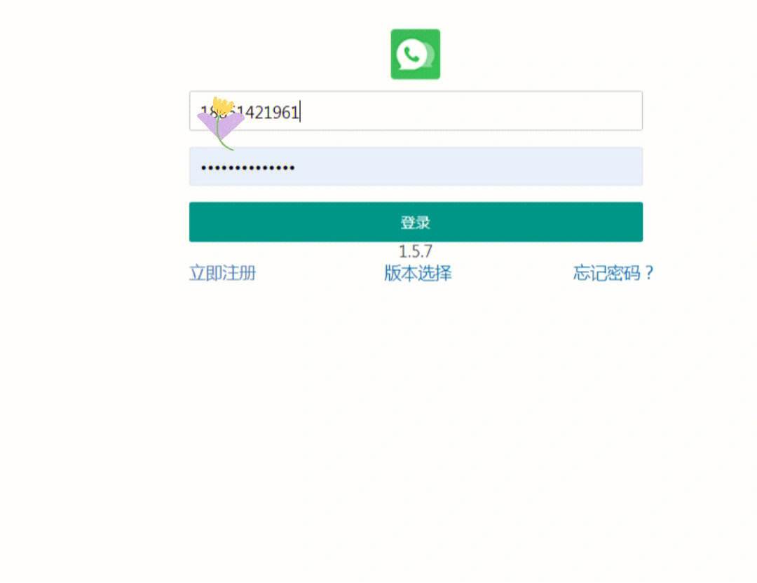 whatsapp注册方法,whatsapp中国手机号怎么注册