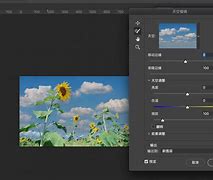 手机梯子vp,手机梯子vps免费百度网盘