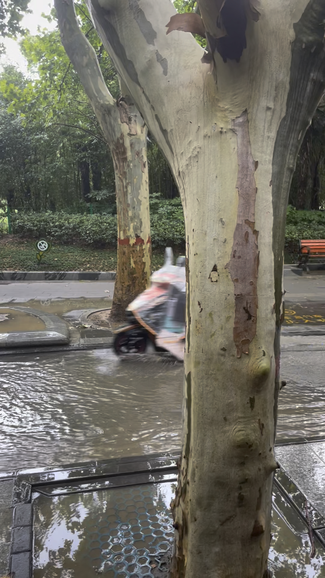 郑州积水已退,郑州积水退了吗