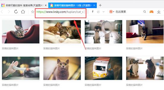 猫咪社区官网址一,猫咪社区官方网站是什么呀