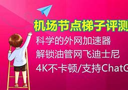 梯子vnp吧的简单介绍