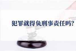 买u卖u需要负刑事责任吗的简单介绍