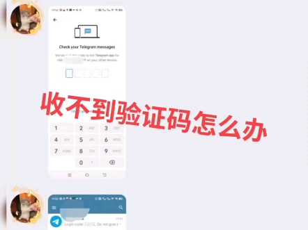 纸飞机telegeram怎么登录,纸飞机telegeram登录后直接闪退