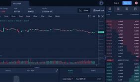 包含coinbig.in的词条