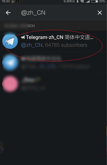 苹果手机telegreat中文设置链接的简单介绍
