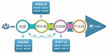梯子Vpv加速,梯子加速是什么软件