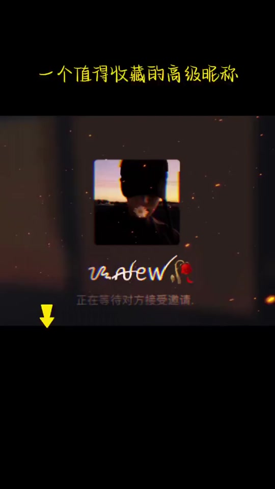 skype什么意思?,英文skype什么意思