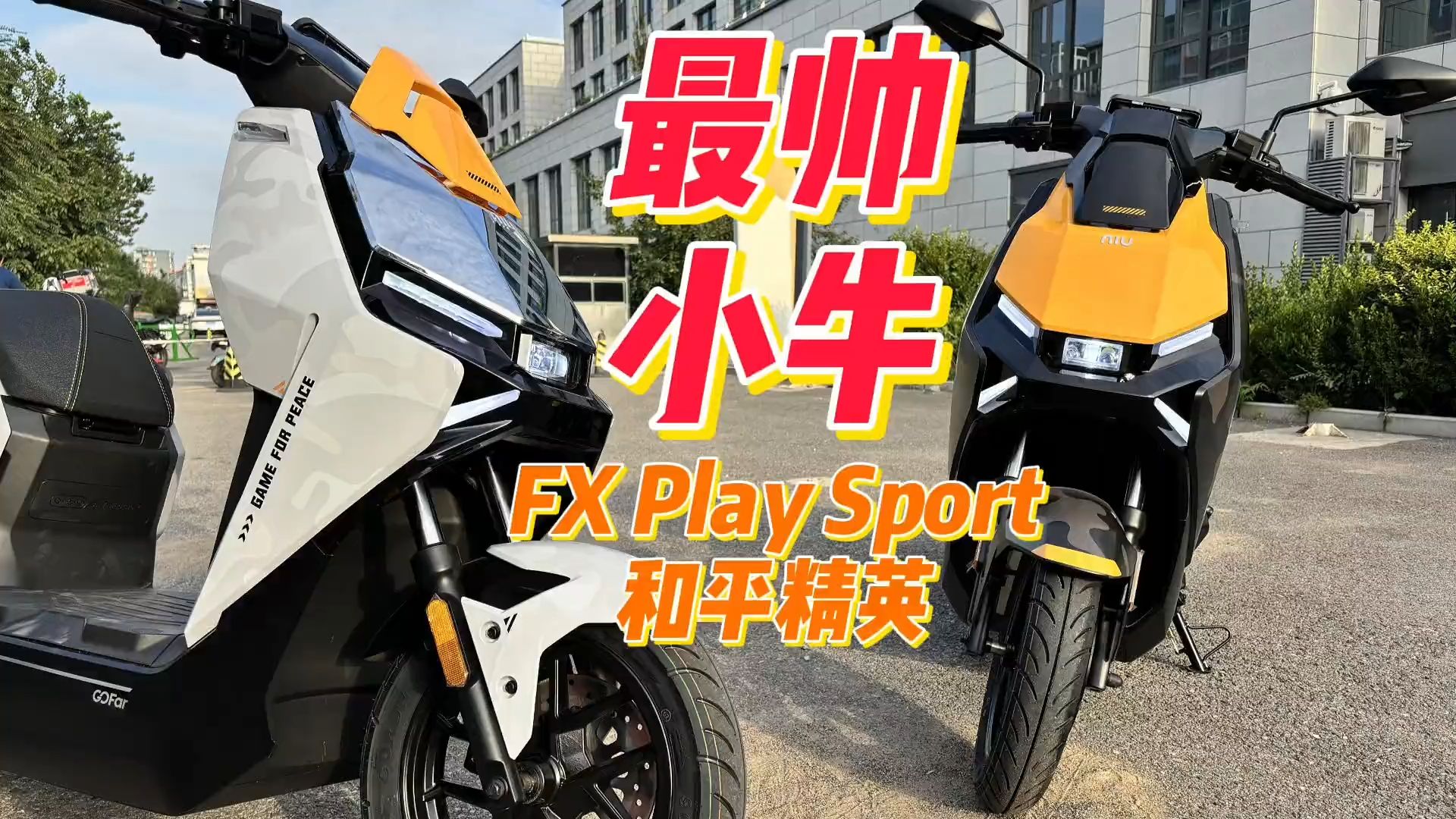 小牛加速视频,小牛加速视频怎么看