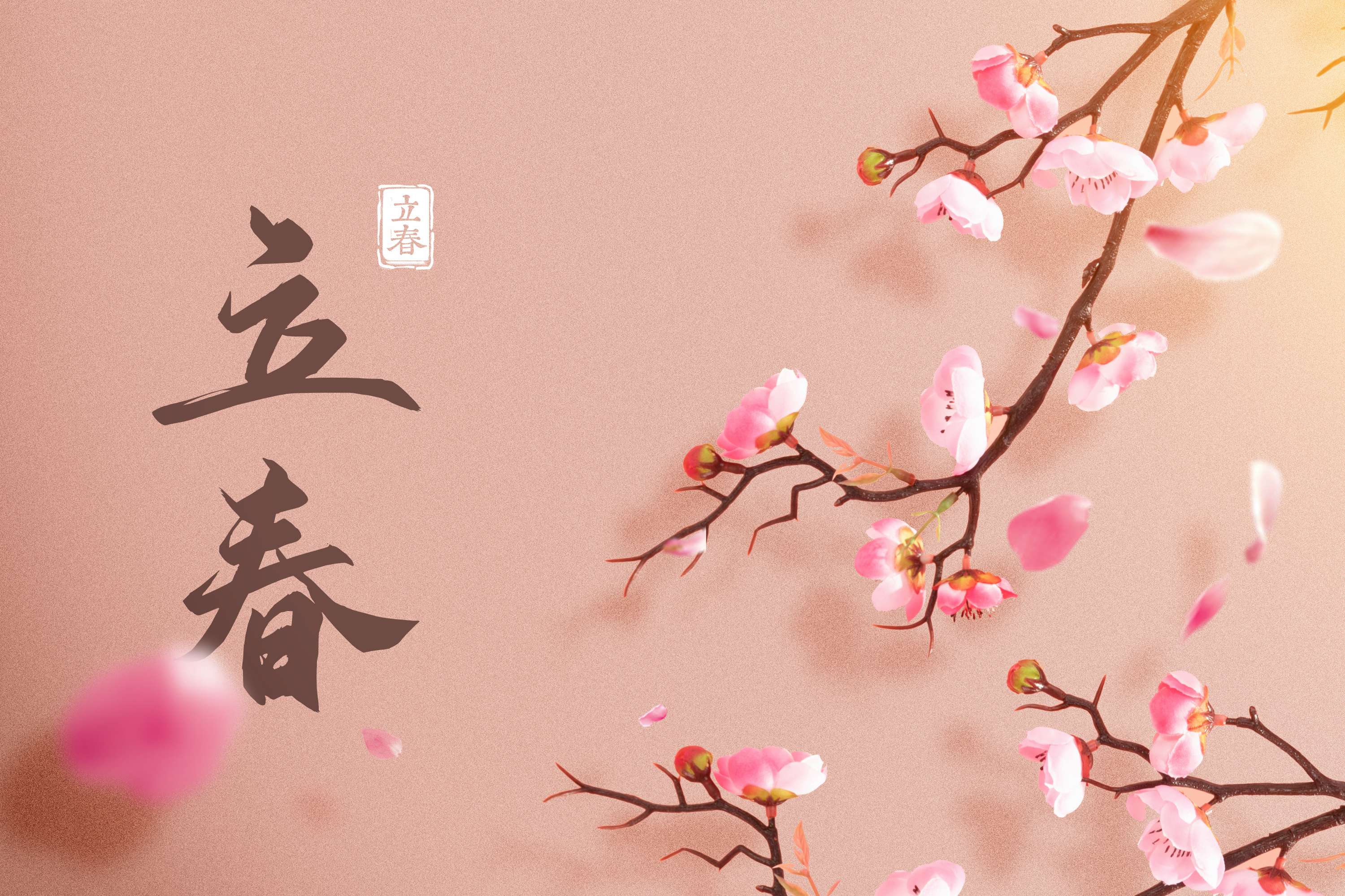 立春的含义是什么生肖,立春有什么生肖讲究和禁忌