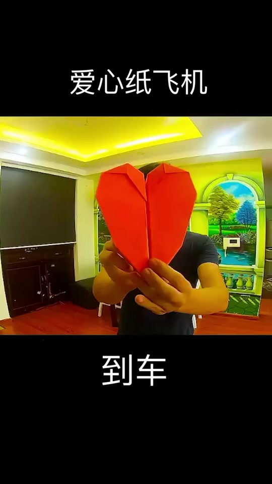 回旋纸飞机怎么折到车请故意,回旋纸飞机怎么叠叠的那个回旋纸飞机是到车请故意折的