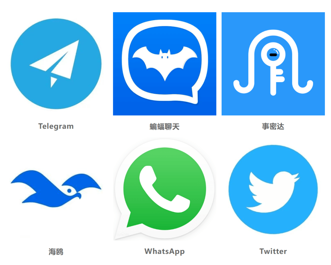 蝙蝠app和纸飞机哪个好,蝙蝠聊天2024最新版下载安装