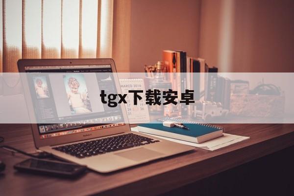 tgx下载安卓,TGX下载安卓可接收验证码