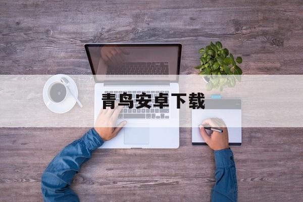 青鸟安卓下载,青鸟平台20