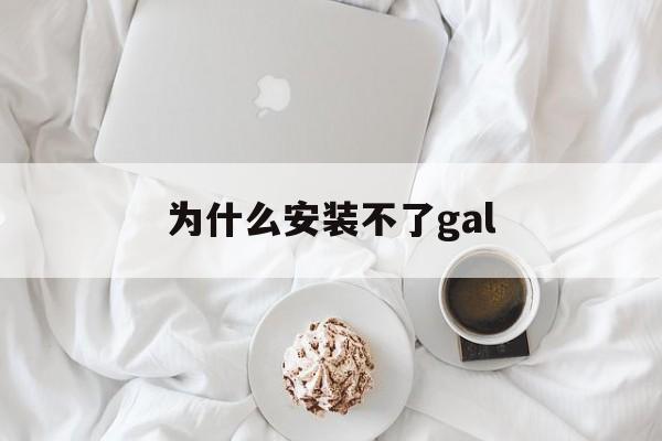 为什么安装不了gal,为什么安装不了高危软件