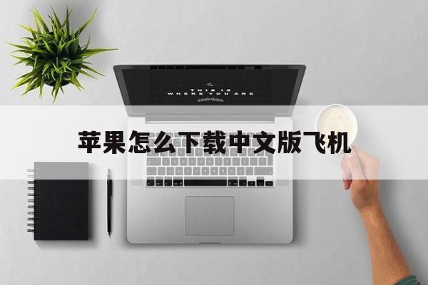 苹果怎么下载中文版飞机,苹果怎么下载中文版飞机软件